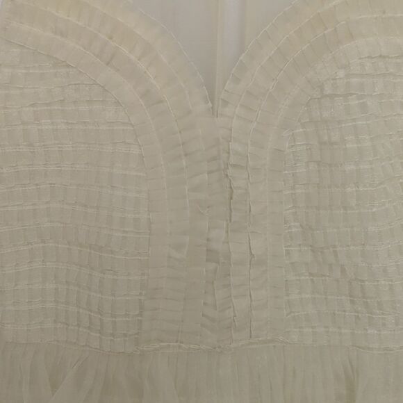 Free People Pleated Ruffle Dress - Picture 3 of 10